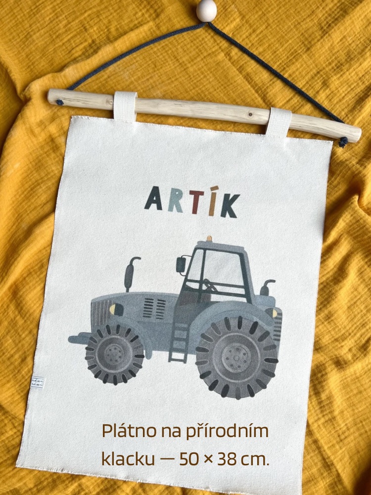 Plátno na přírodním klacku — 50 × 38 cm._1